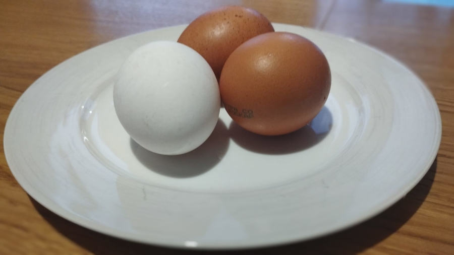 Птицефабрики Ленобласти начали снижать отпускные цены на куриное яйцо